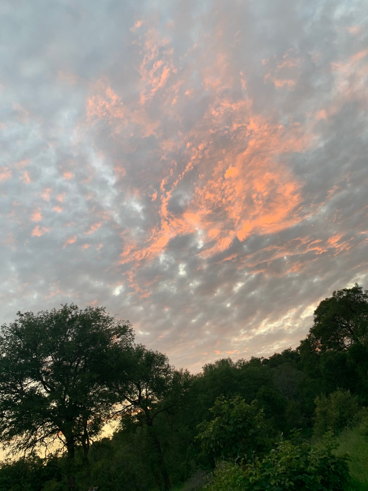 choices must be&nbsp;made…